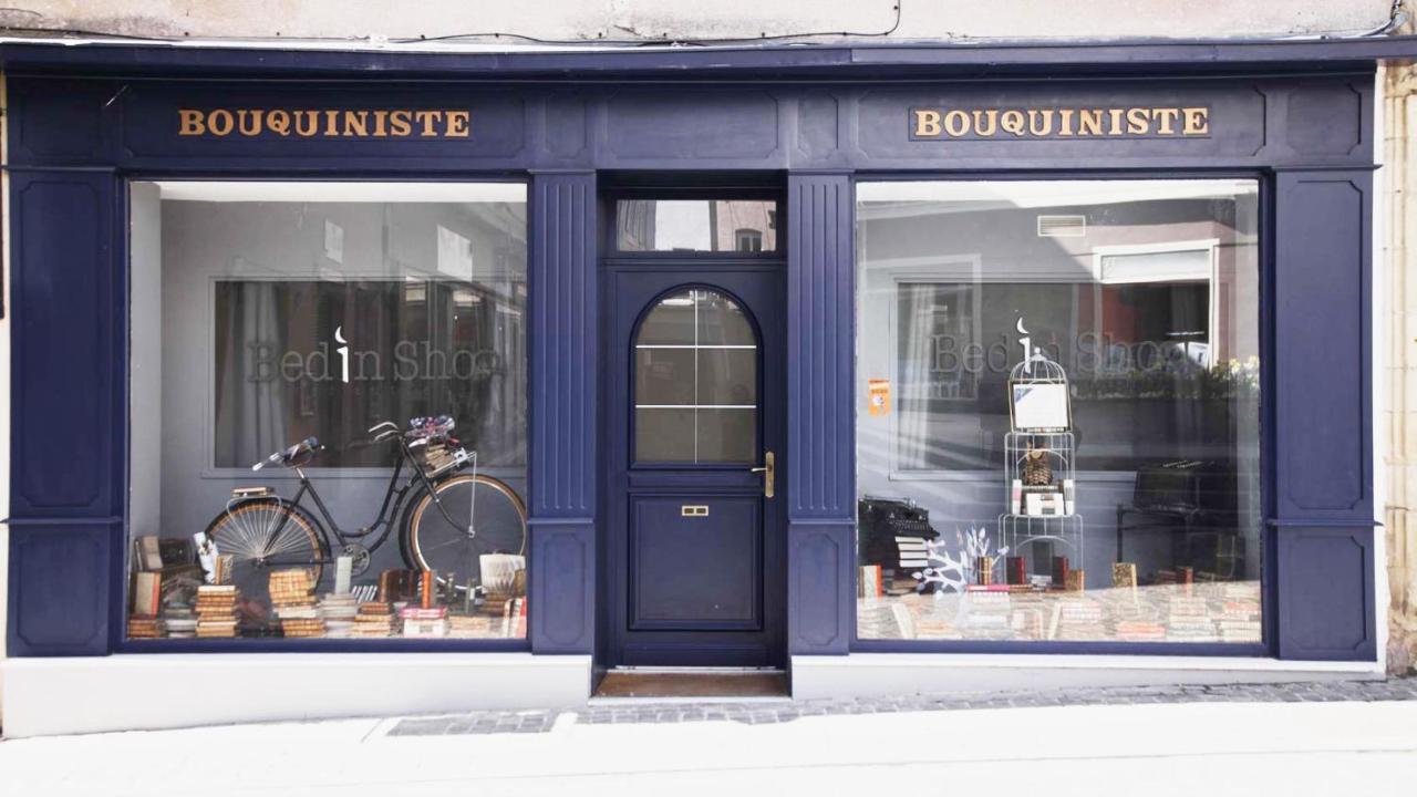 Le Bouquiniste, Centre Historique, Fibre, Ess, Rez-De-Chaussee, Bedinshop Romans-sur-Isère Esterno foto