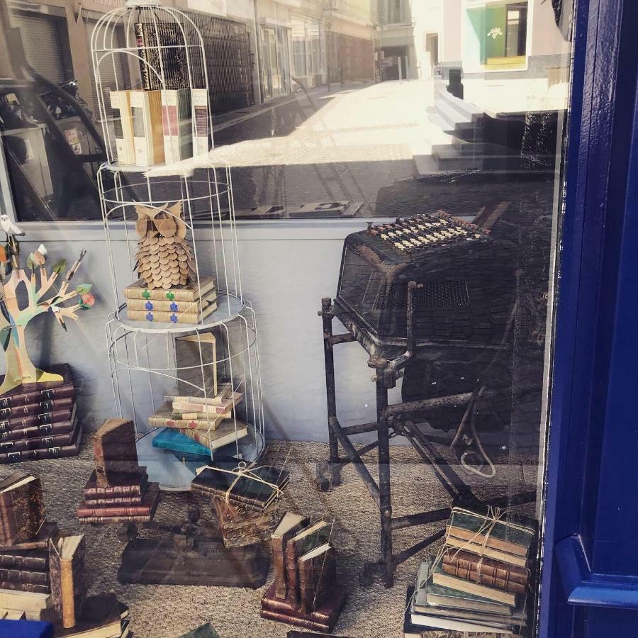 Le Bouquiniste, Centre Historique, Fibre, Ess, Rez-De-Chaussee, Bedinshop Romans-sur-Isère Esterno foto